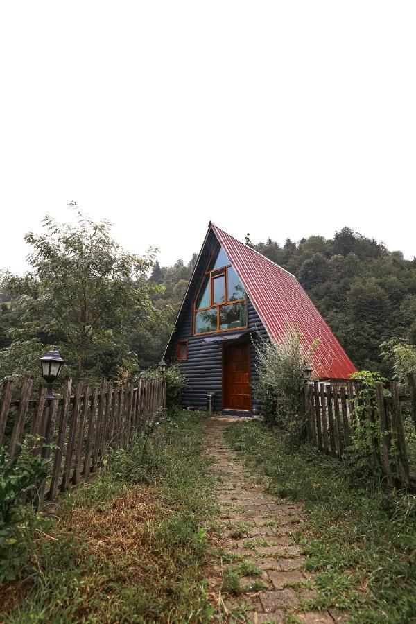Bungalove Tatil Koeyue Çamlıhemşin Buitenkant foto
